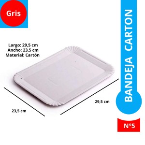 BANDEJA CARTON GRIS REC N°5 x 100u
